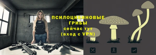 каннабис Богданович